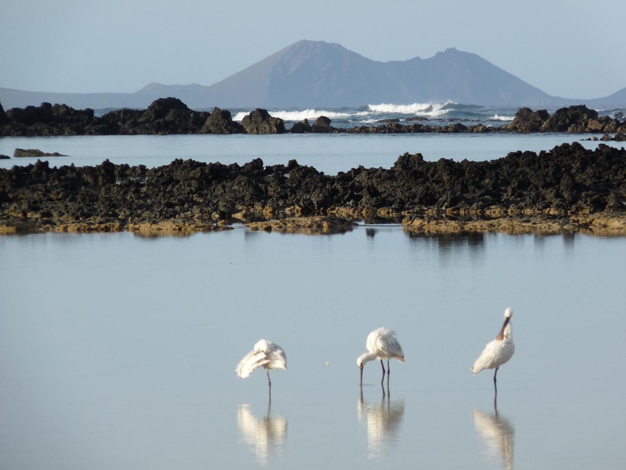 Casa Ana Y El Mar - Para Enamorados Del Mar - Lanzarote Teguise  Exterior foto